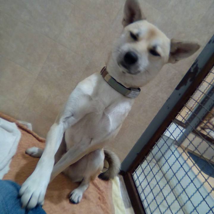 2cea3a80 7cf5 4569 b4b5 52217f548af5