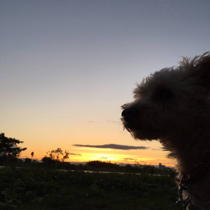 2cea85df c77f 44cd b5f8 21d8e9327250