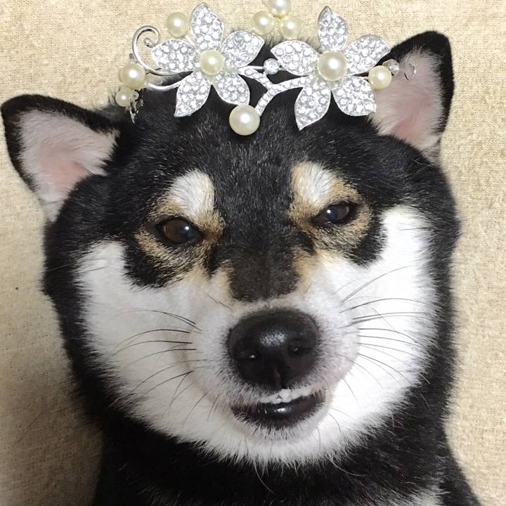 2cea9d35 71b4 4366 8a78 9c222951c60b