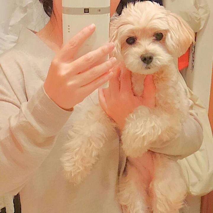 2ceb07e1 cec9 4363 91e1 989ba2cef5ab