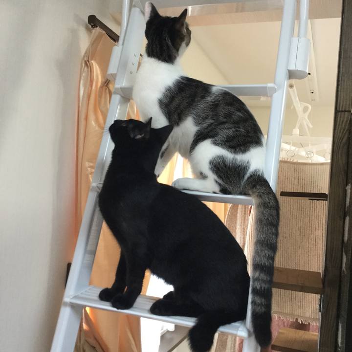 2ceb2a67 1ac9 45e7 aa0d 0ef5b5b06af0