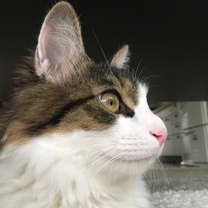 2ceb6dec ea97 449b 8dcb 8aa93bf4f9cf