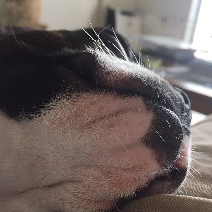 2ceb9896 06e6 4587 af16 22b1584902ae