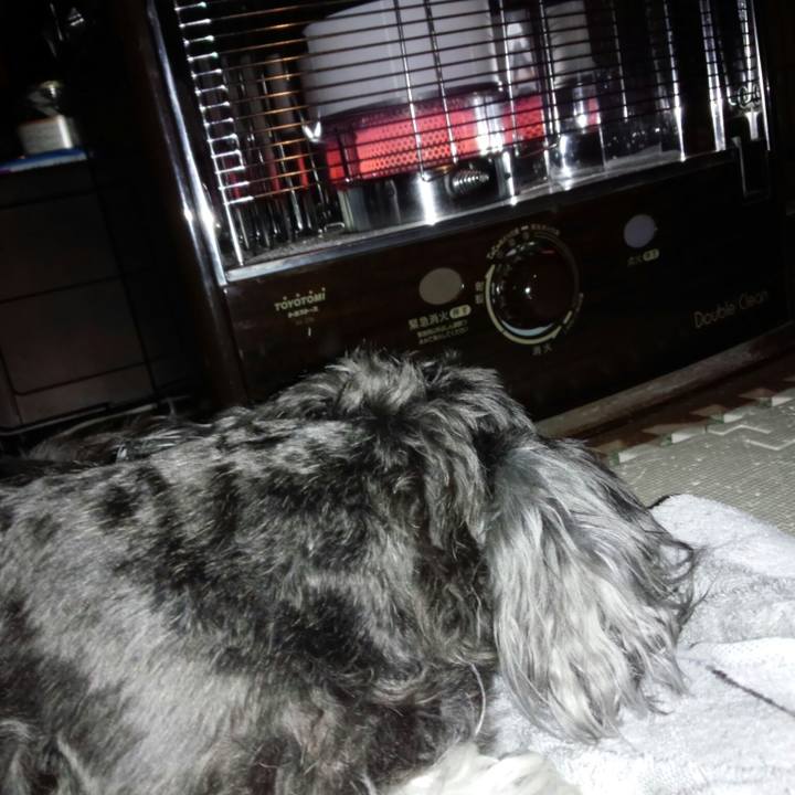 2cebbb73 5d31 4b46 9ef8 f6a6e82c971b