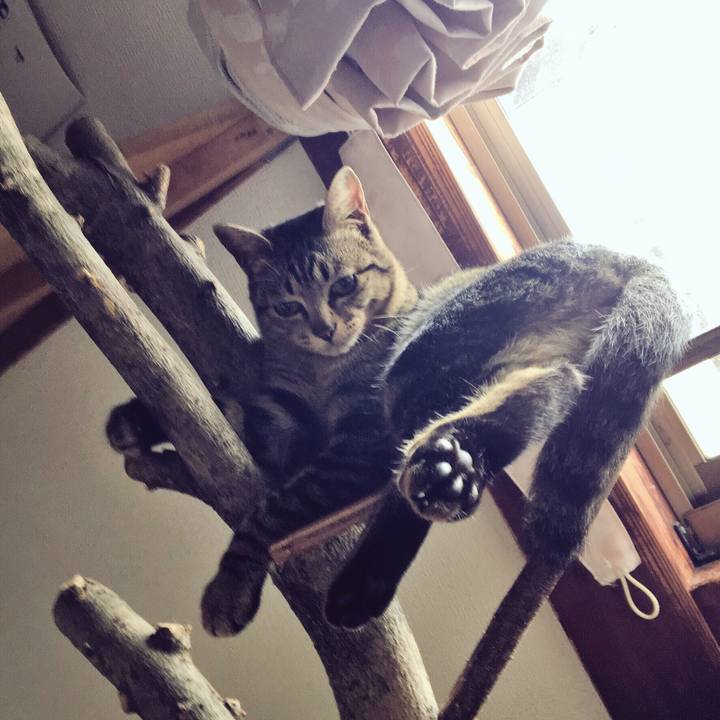 2cec089f d049 4700 bc1a f789aca92715