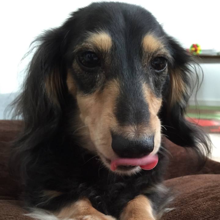 2cec410d cb7d 48c7 a284 608fd40ccbe2