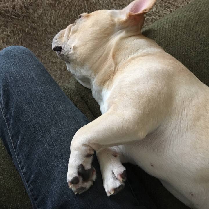 2ceda3f8 2157 4546 b69d 095bb7064cd4