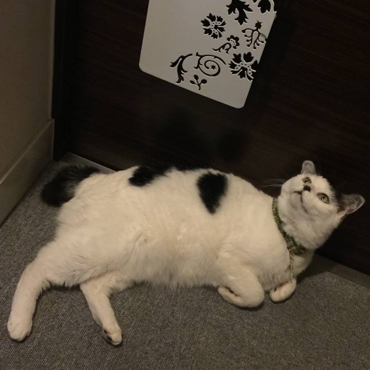 2cedc45c 987a 40b3 b4df 09ce2100de49