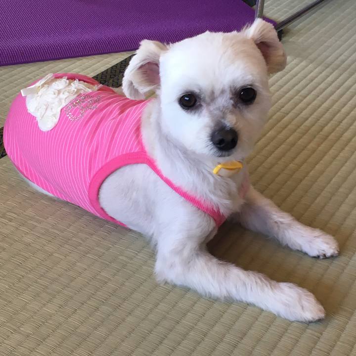 2cede2aa 1ed1 40a8 a02b 30581d225e7e