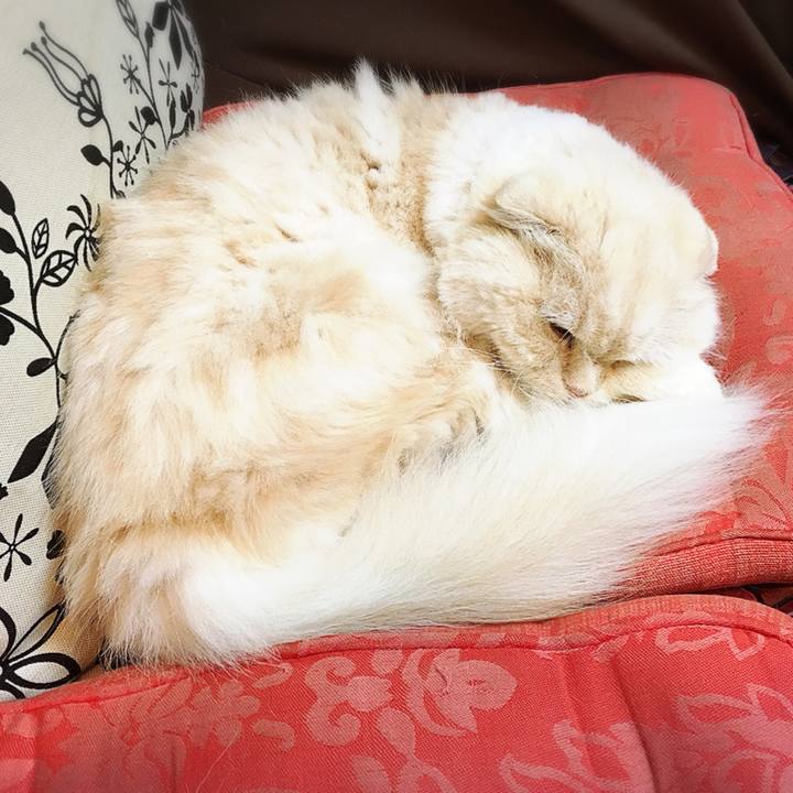 2cef36f3 4cc4 4991 8dcb e5300c9182f1