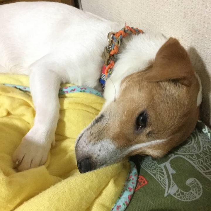 2cefa583 648a 4ccc a5c5 5fc8de708043