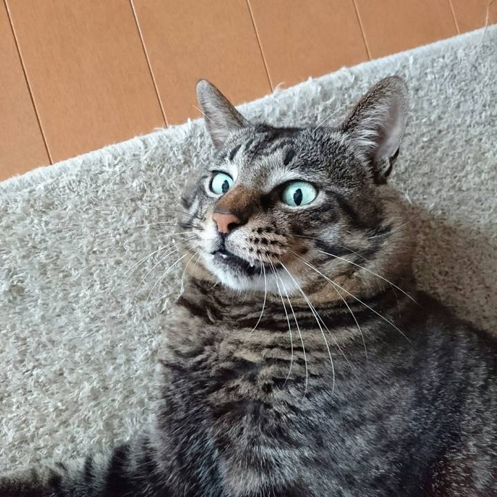 2cefc7fe 3dca 47d2 99e5 e7b7d8ca0a5f