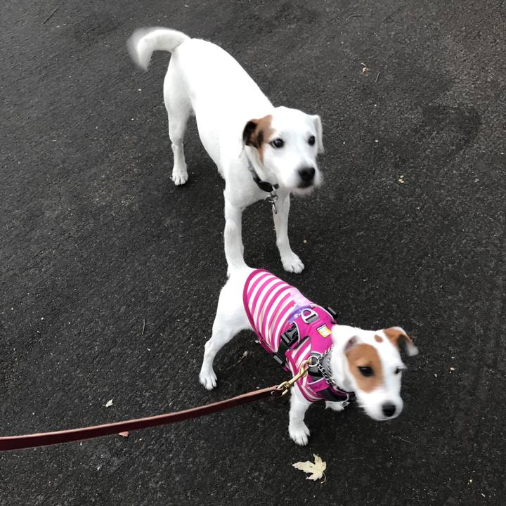 2cefd59d 888a 44ac bd70 735e484d06a1