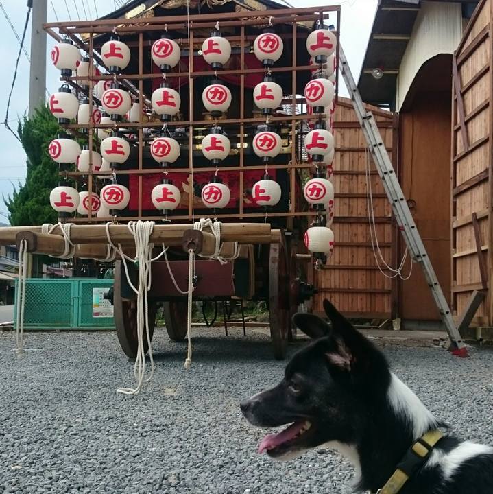 2cf0aab2 4193 4a41 9c3a e21029a6acc1