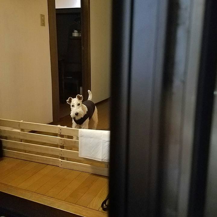 2cf0ddff ad7f 4e64 834b bcc161849d7a