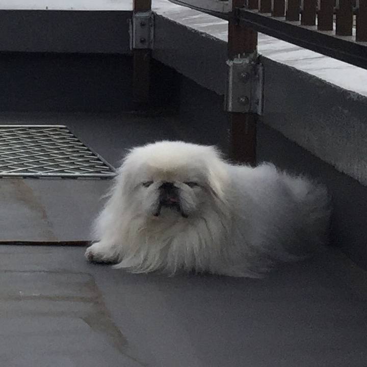 2cf0fffa 46ec 40e8 bc7d 23c832e2a556