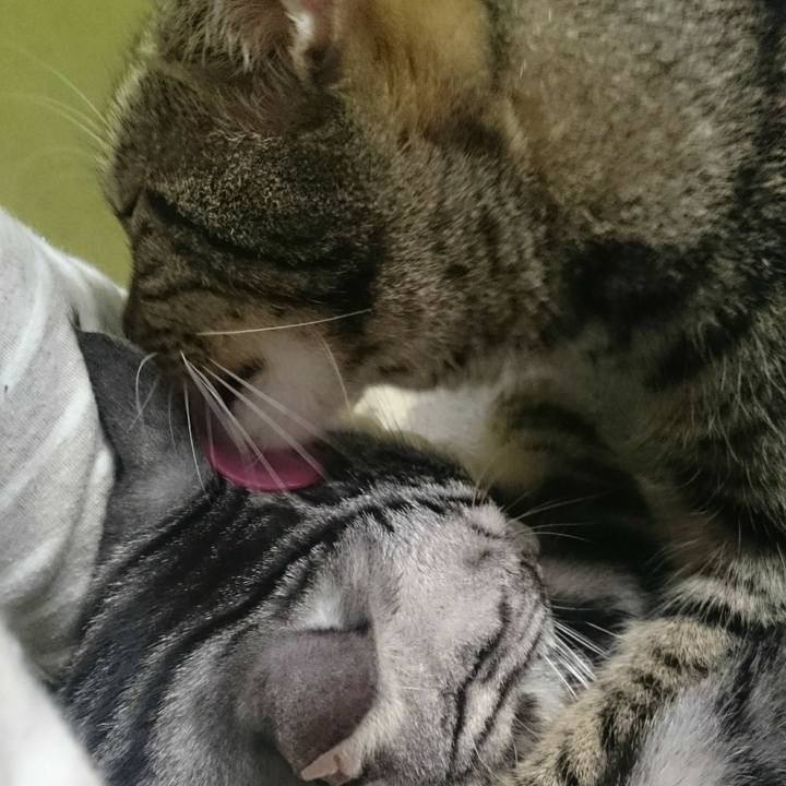 2cf1d431 d79c 453b b17d 5760995d24d3