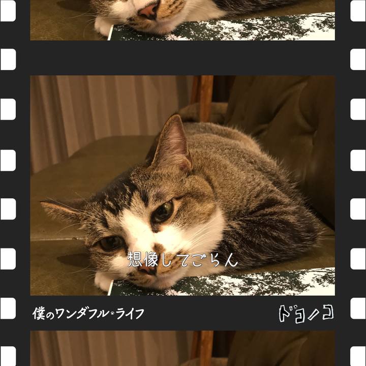 2cf1e353 998b 4de3 a49a dad922e6cbb2