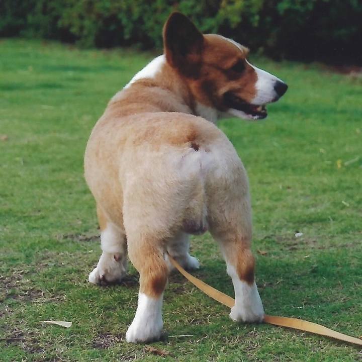 2cf25611 cc93 4758 bc63 6a2f09d1f9bd