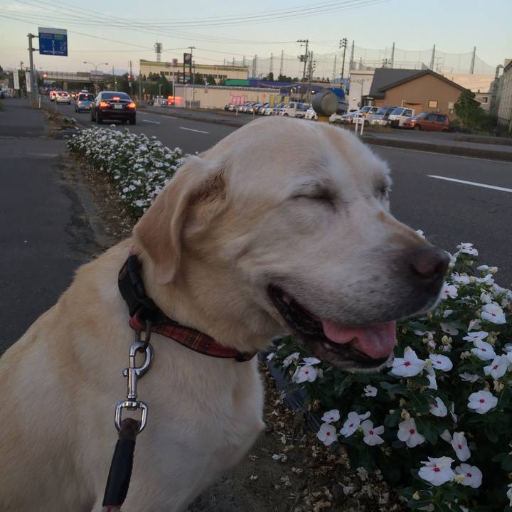 2cf3e2b4 e706 4d60 b014 af1c85c5cfc9