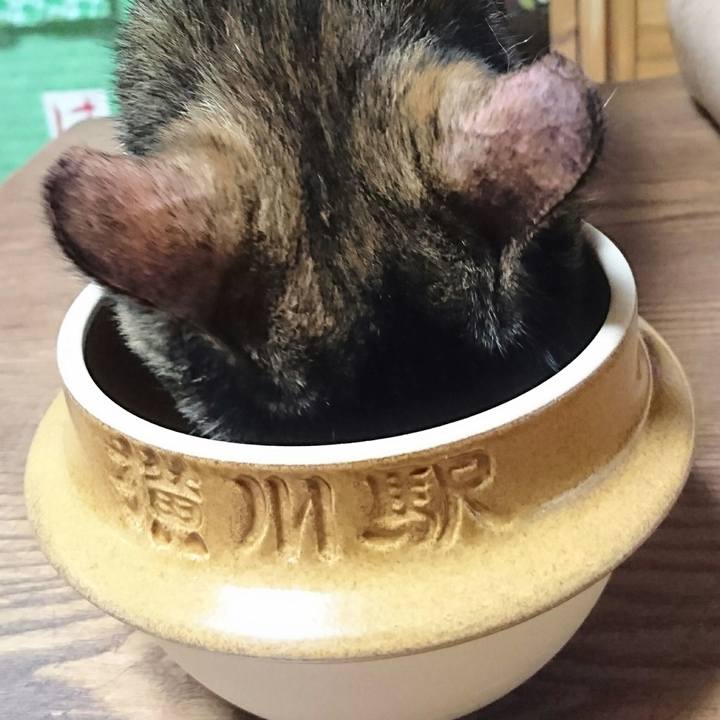 2cf3e60d cc14 4cfb 9c6d 795b6f2c070e