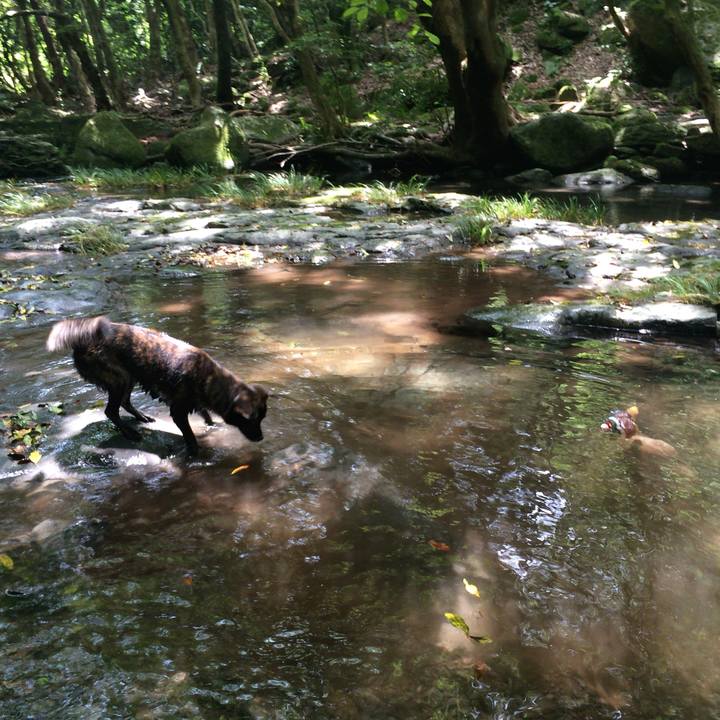 2cf40062 b95b 4852 8f14 090e3ab8d16e