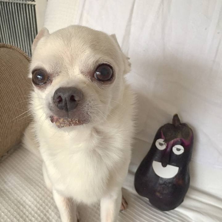 2cf4007f e579 4718 ab21 254a2d589323