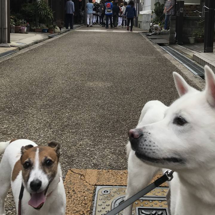 2cf50946 b0d3 45c0 ae8c 985665b58f47