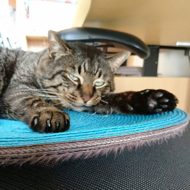 2cf52370 69cb 47ef b74b 2102861514fe