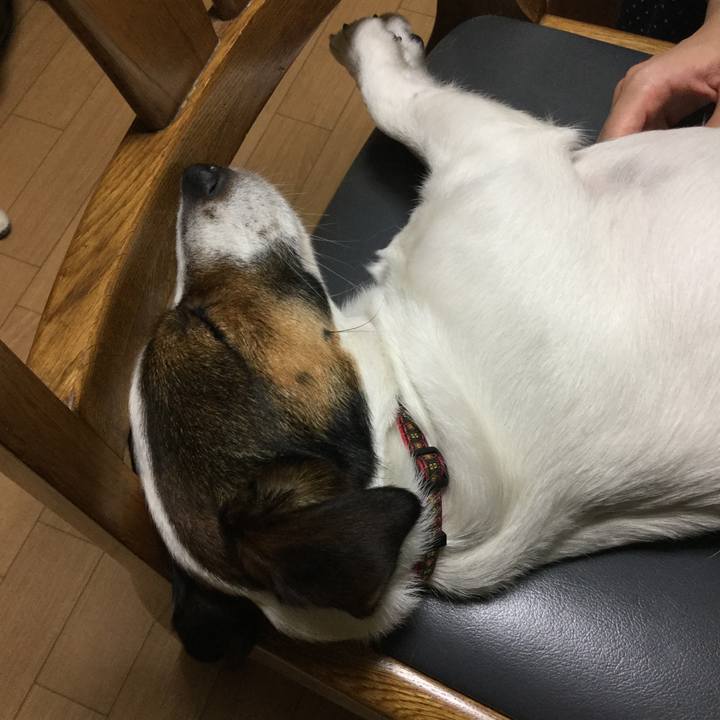 2cf545c5 c1db 45b6 8aad 7dfcf194afb1