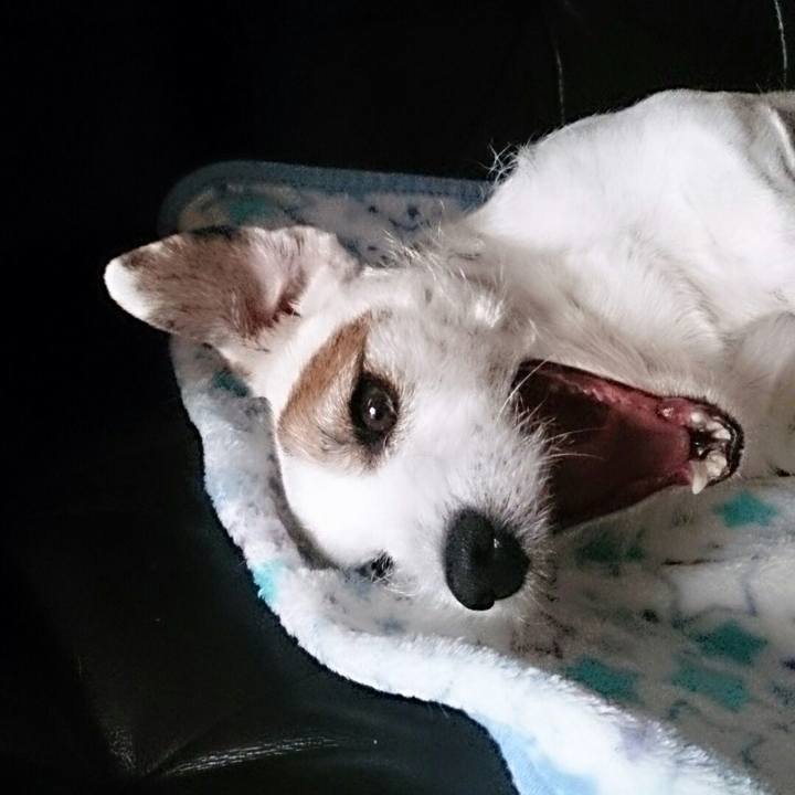 2cf5b927 9557 4e61 827d 6cc6ecc2d9b0