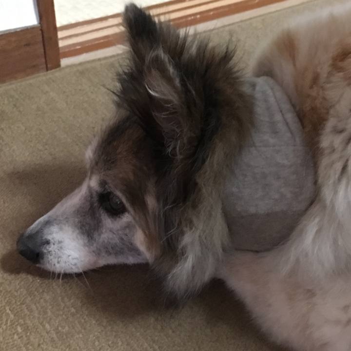 2cf61f46 e2af 4ce4 8fb0 d7bb87e47349