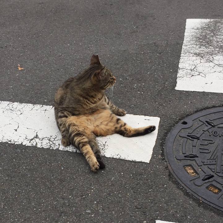 2cf636fd 78c3 43fe 9e97 3ab57327c81a