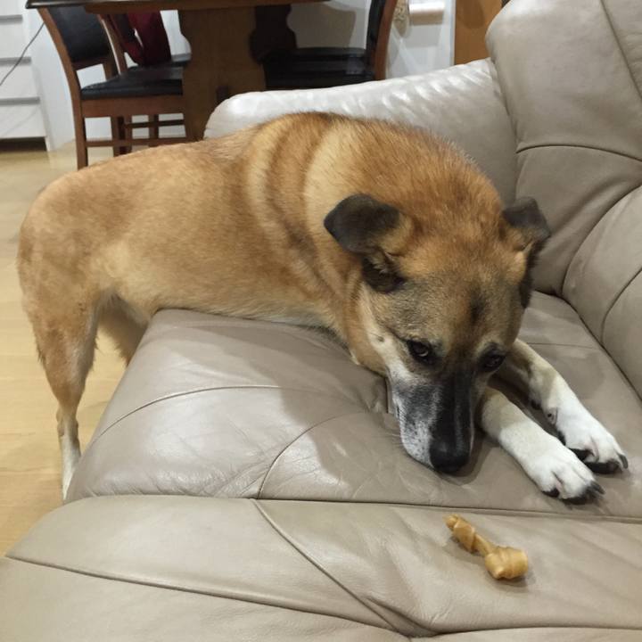 2cf68303 e384 4fcd a307 74691c4d3bd7