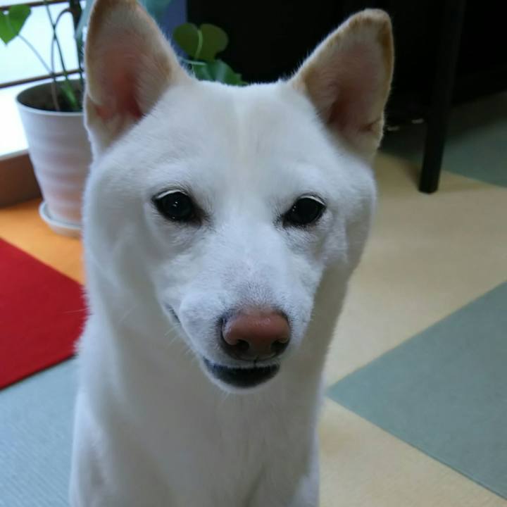 2cf804be 2a82 4f17 a38b f3636d8c97bc