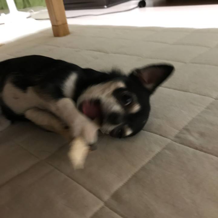 2cf8ab74 dd92 43d0 889b 1d5d1bd5fb5c