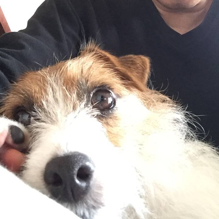 2cf8baa8 a674 4e56 b40c 76ab2c48287b