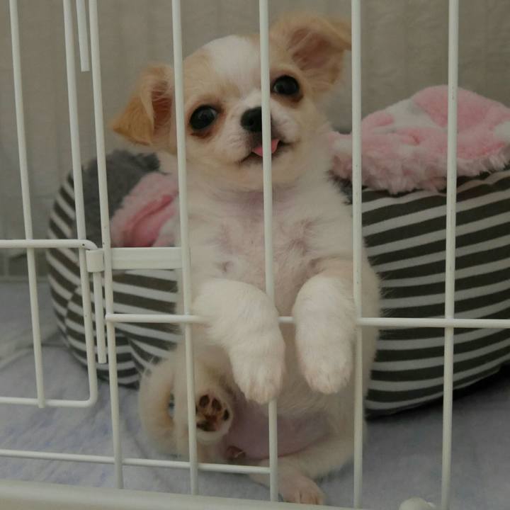 2cf8dd3b 4730 4f54 899c bb5b3b394ccb