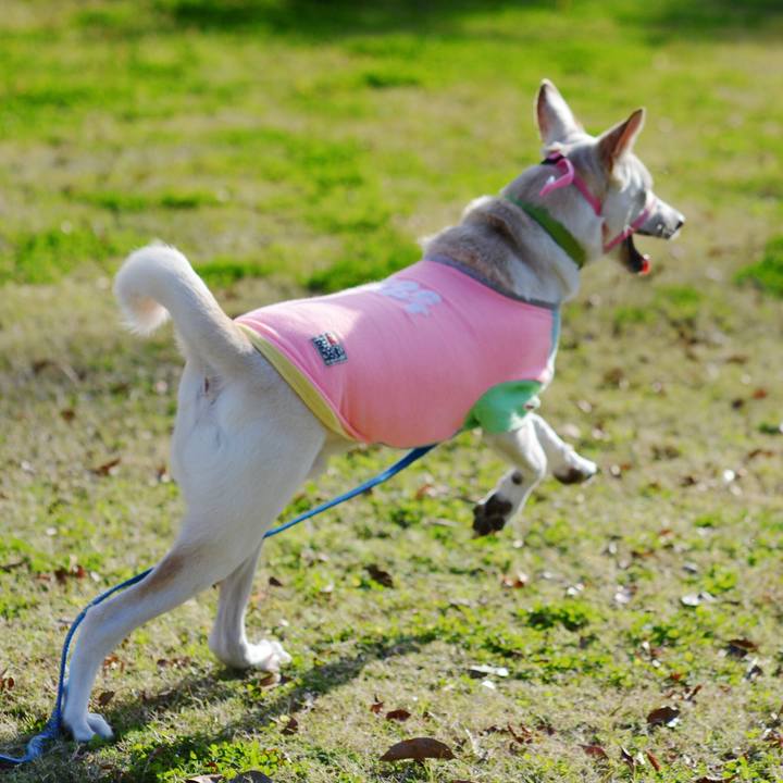 2cf9da06 a465 434c a8b8 54c87b014b4b