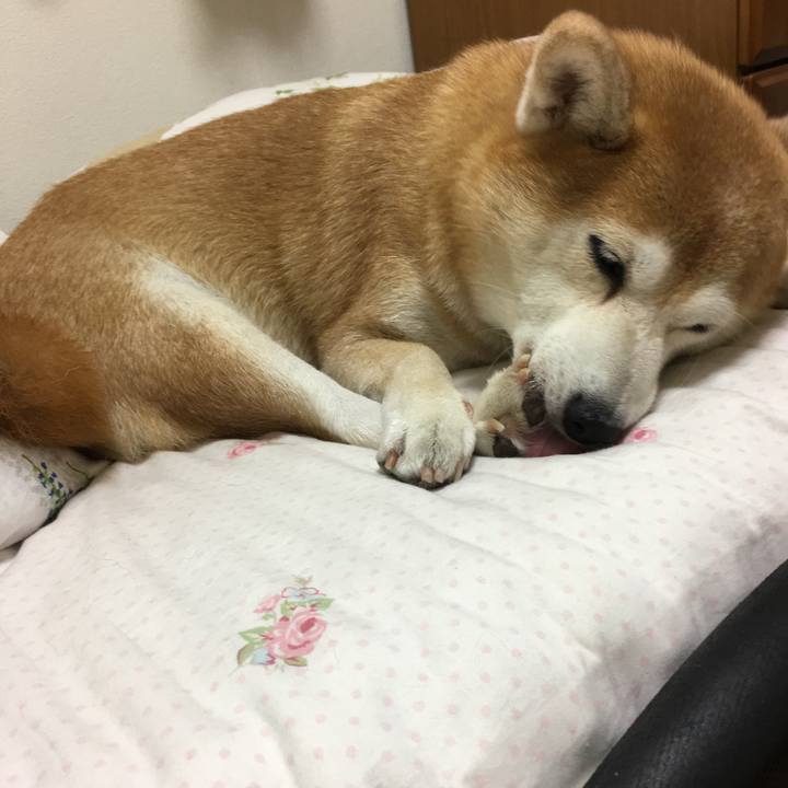 2cfa40a7 9de0 41e1 8100 e08586ffd40e