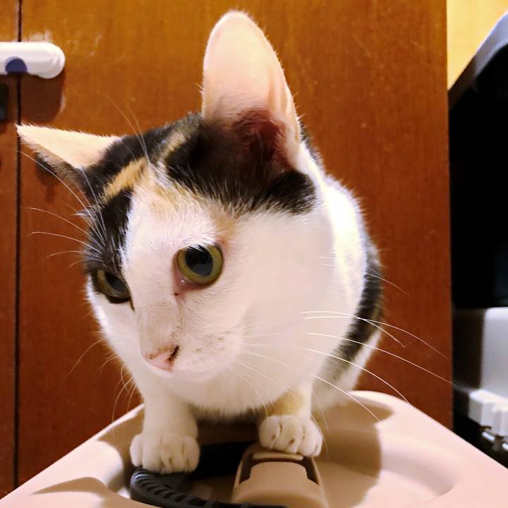 2cfab0f7 f693 477b be21 f07b8be0ab81