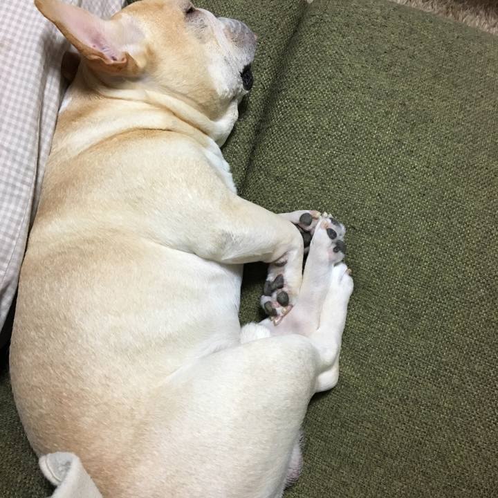 2cfabfcf 0a0c 4a79 b066 5f23fbaf7cfb