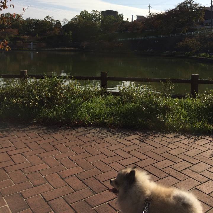 2cfac883 8279 4370 80f2 6c2a87a4edd1