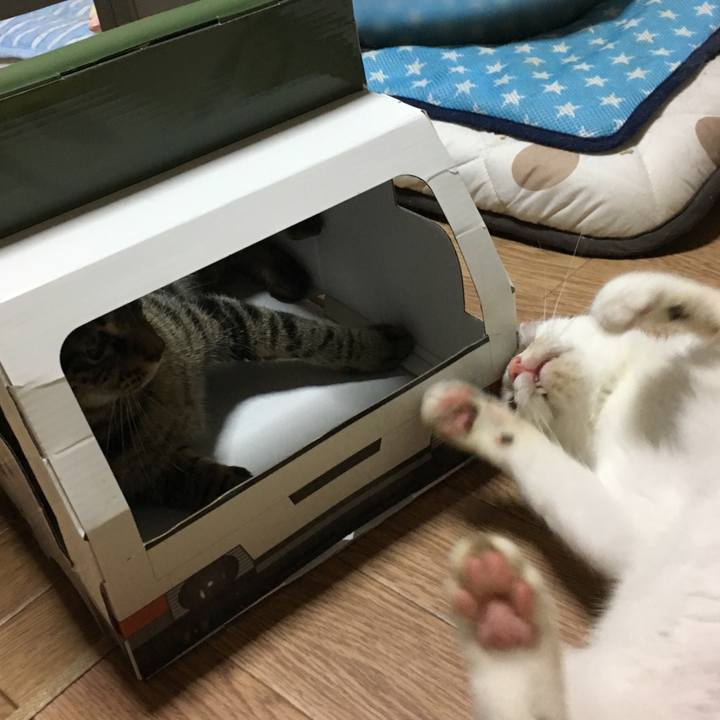 2cfaf9db da7b 4b6e 8495 24e8b1a7c2ce