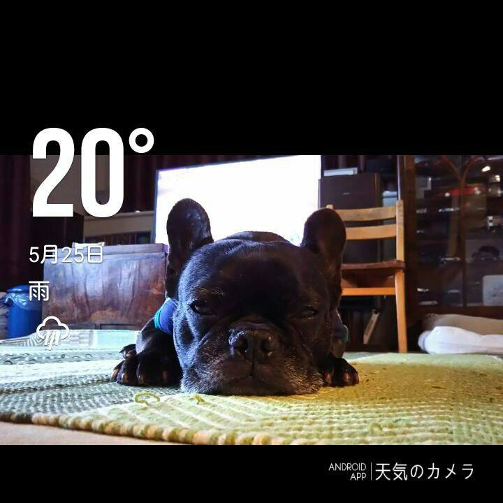2cfb0f98 f50e 4c82 ace9 922072c6dbed