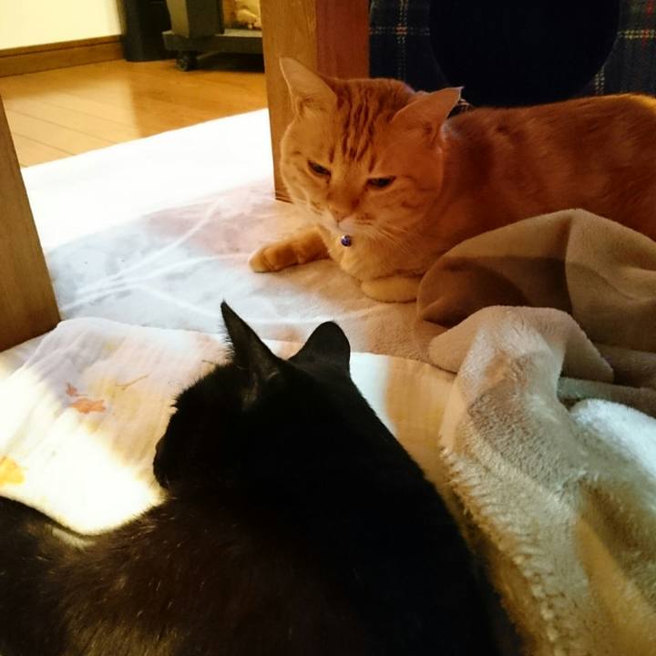 2cfb5705 83bd 45f6 91d8 093e99d116e1