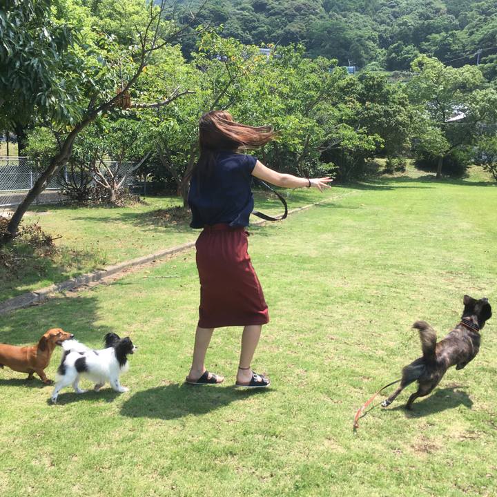 2cfba877 7327 49c1 b1ca f9d826a6aece