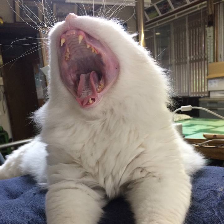 2cfbf21a 3c50 4e20 bc03 19b5a6952226