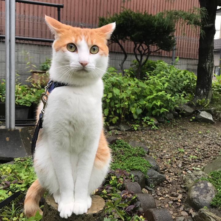 2cfc66b6 b34c 4838 bb31 3c7befbd2635