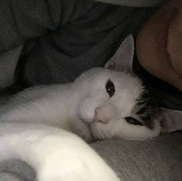 2cfdf14d 99f1 4aca 9924 c71aedf43a03